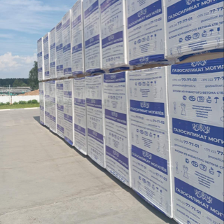 Газоблоки 200*290*600